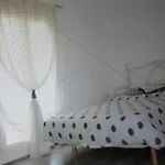 Apartman Your House In Menorca *