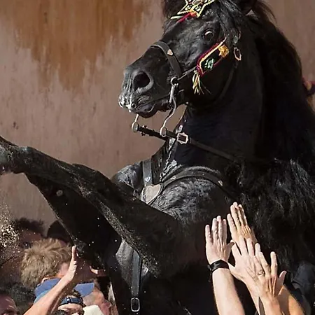 Apartment Your House In Menorca